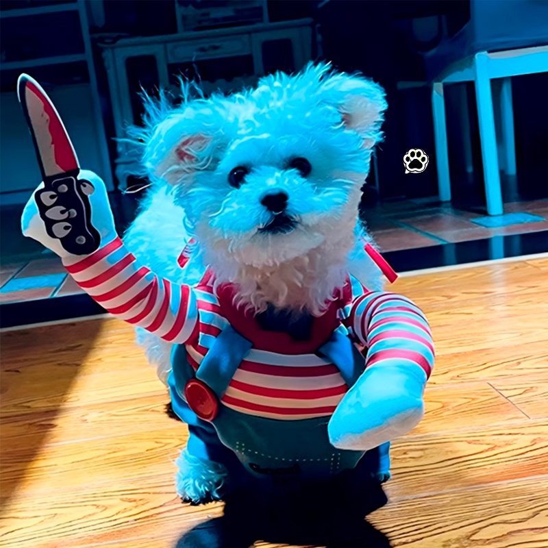 Disfraz Mascotas Chucky Halloween